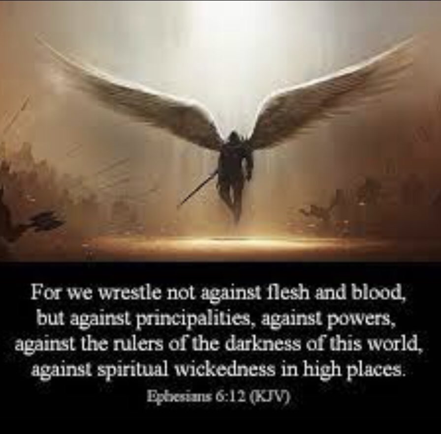 My favorite verse! Tells us what we are living & fighting against! Put on your Armor of God & keep fighting w/ us & #ArchangelMichael