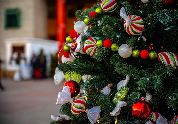 Photo en gros plan d'un arbre de Noël avec des décorations rouges et vertes. L'hôtel de ville d'Ottawa est à l'arrière-plan.