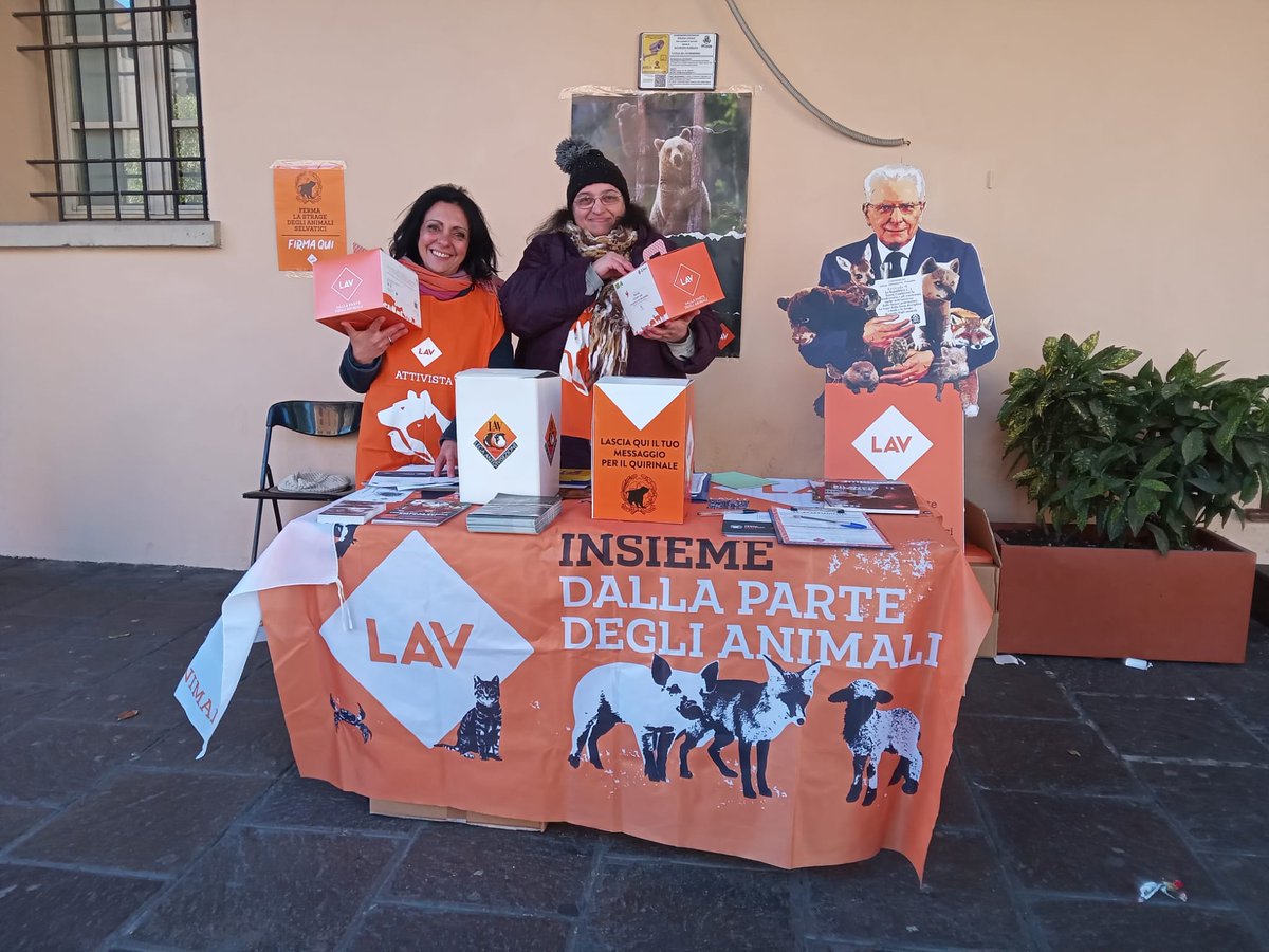 LAV_Italia's tweet photo. 🦊Anche oggi siamo in piazza per fermare la strage di animali selvatici!

Grazie a tutti i volontari di @LAVSediLocali e a tutte le persone che ci stanno raggiungendo per firmare e lasciare un messaggio al Presidente Mattarella in difesa degli animali!👇
https://t.co/16sR3Zb7Gr https://t.co/6x3Iu9qjWL