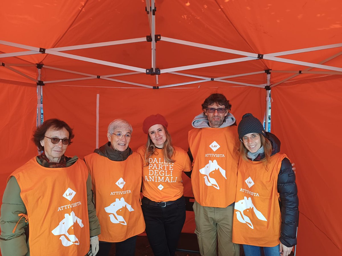 LAV_Italia's tweet photo. 🦊Anche oggi siamo in piazza per fermare la strage di animali selvatici!

Grazie a tutti i volontari di @LAVSediLocali e a tutte le persone che ci stanno raggiungendo per firmare e lasciare un messaggio al Presidente Mattarella in difesa degli animali!👇
https://t.co/16sR3Zb7Gr https://t.co/6x3Iu9qjWL