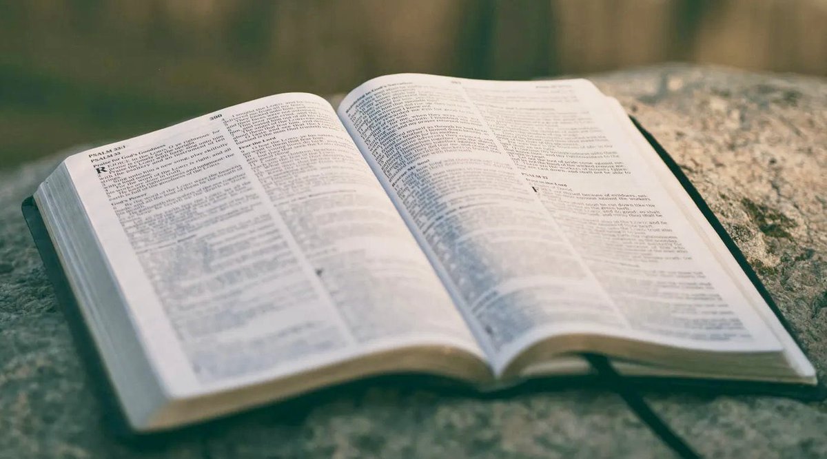 MarketingWaterhole tweet media