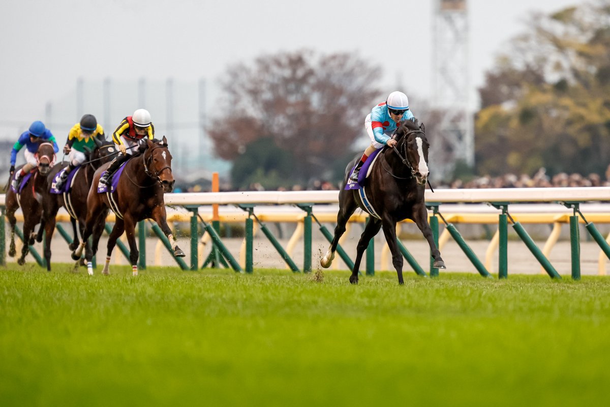 The greatest racehorse in the world today. #イクイノックス 