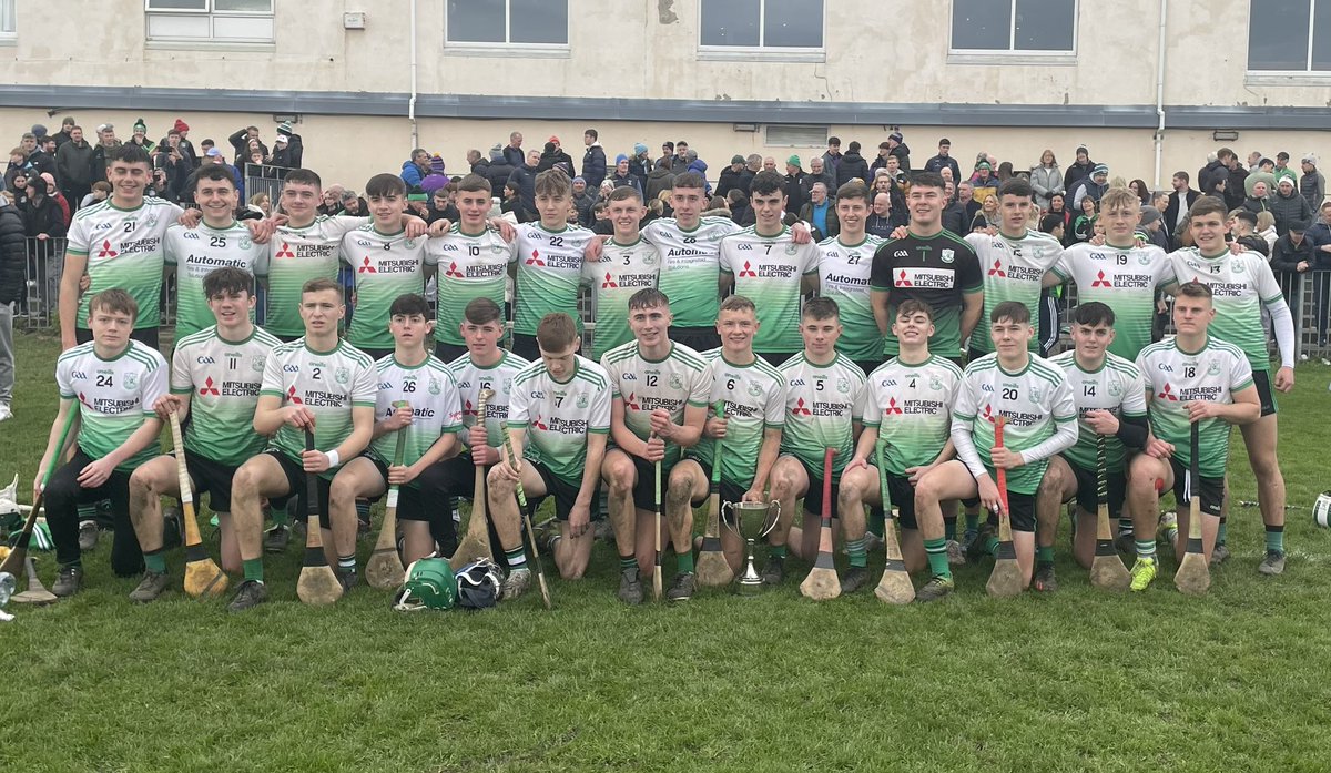 Lucan Adult Hurling tweet media
