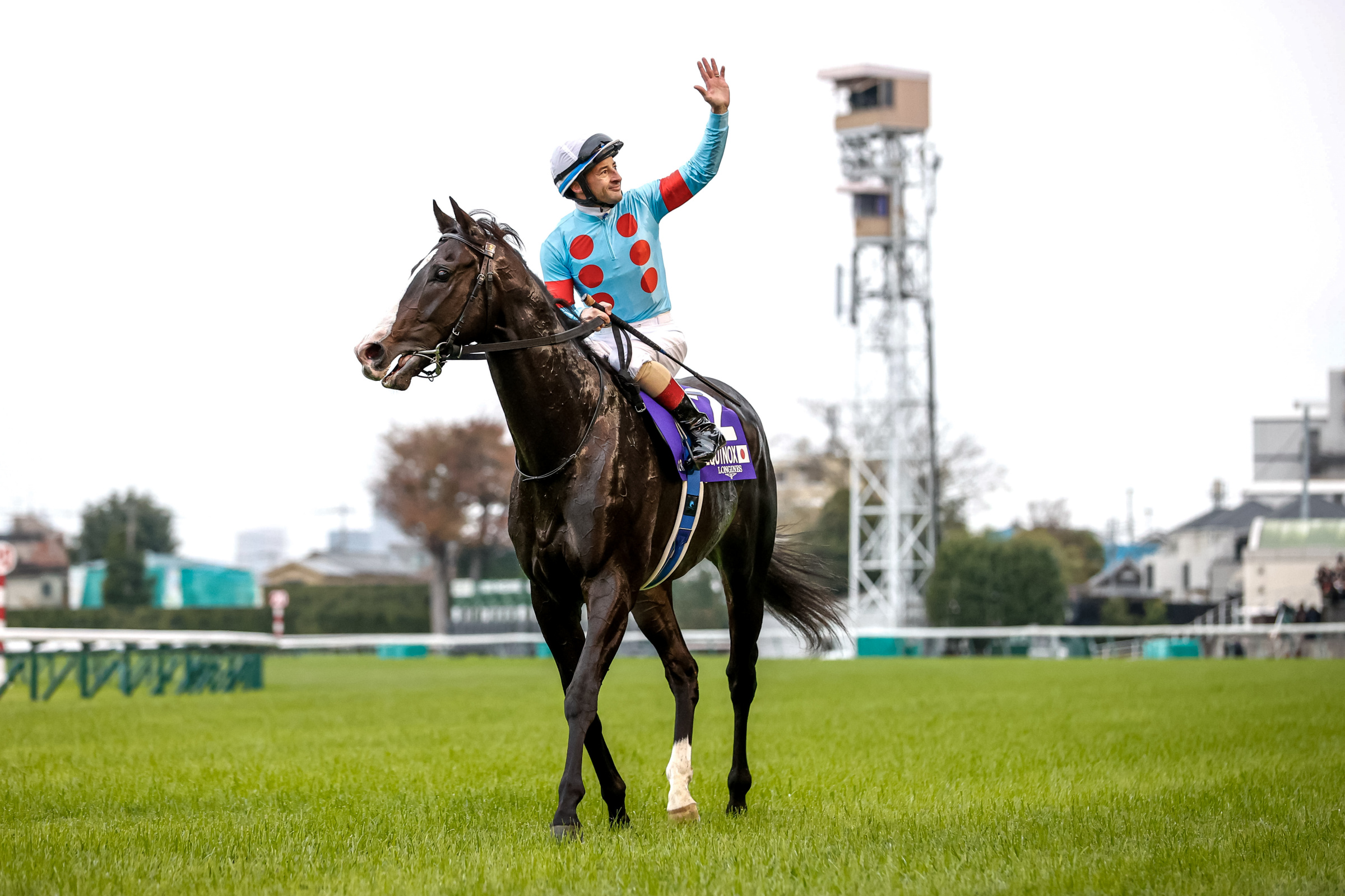 競馬 イクイノックス クリストフ ルメール直筆サイン入り A4写真