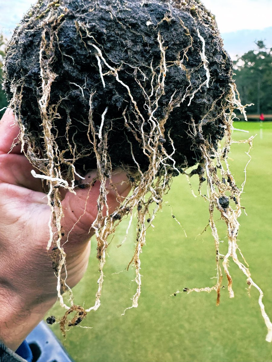 Christopher M. Allen tweet media