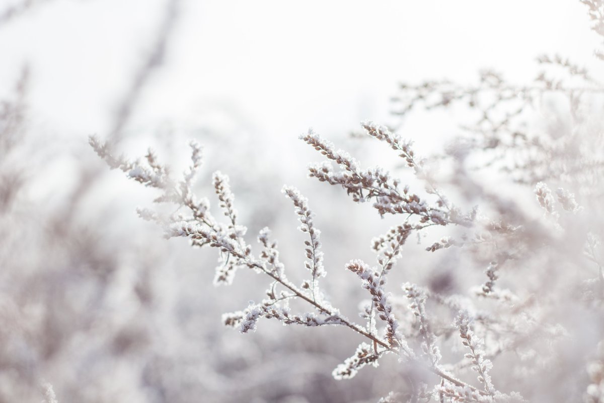 Healthwatch Norfolk (@hwnorfolk) on Twitter photo The first winter chills are here, and a reminder <a href="/ageuknorfolk/">Age UK Norfolk</a> can help the county's older residents as temperatures drop. Find out more at healthwatchnorfolk.co.uk/news/winter-he… The first winter chills are here, and a reminder <a href="/ageuknorfolk/">Age UK Norfolk</a> can help the county's older residents as temperatures drop. Find out more at healthwatchnorfolk.co.uk/news/winter-he…