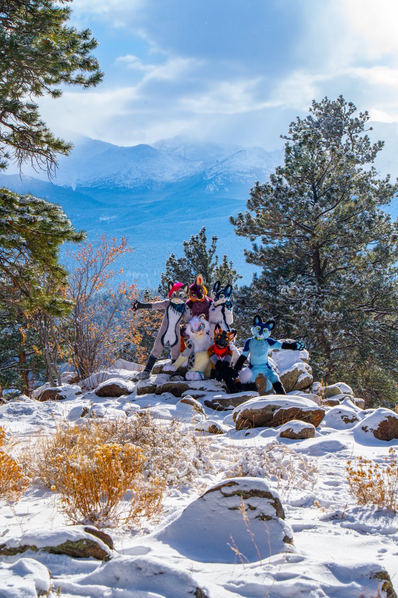 𝙆𝙊𝙊𝙋𝙀𝙍 ✈️ ??? tweet media