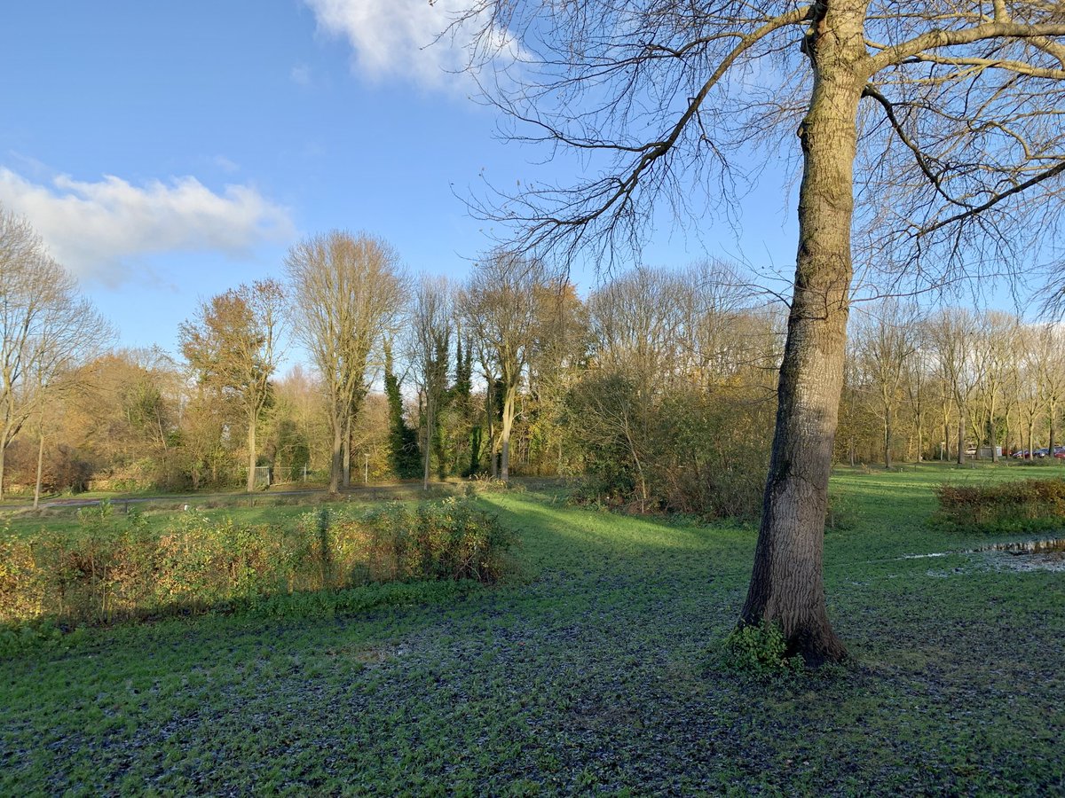 Meitje 🕊️ tweet media