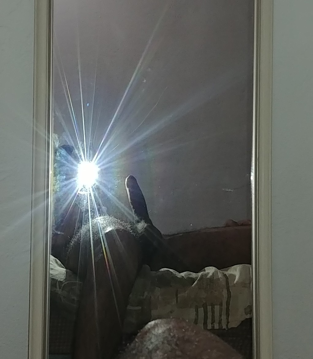 unchicomas291's tweet photo. #cdJuarez #cdjz #exhibicionismo #bi #bisexual #caliente #encuentro #single https://t.co/v5ImM6k0mq