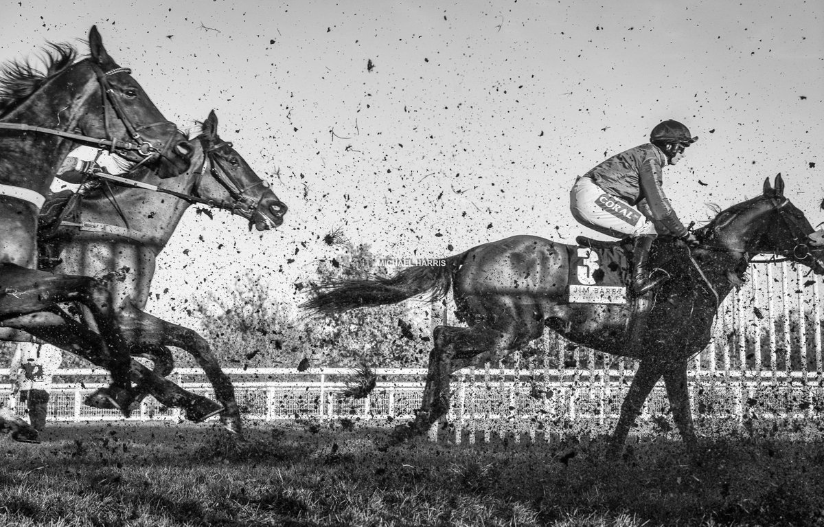 I found an angle yesterday at the fence before the home straight at Ascot. I could have done with a shorter lens but I still hope that I have succeeded in visually portraying NH racing in a image. The horses are Malystic (front), Boothill (far side), Funambule Sivola (near side).