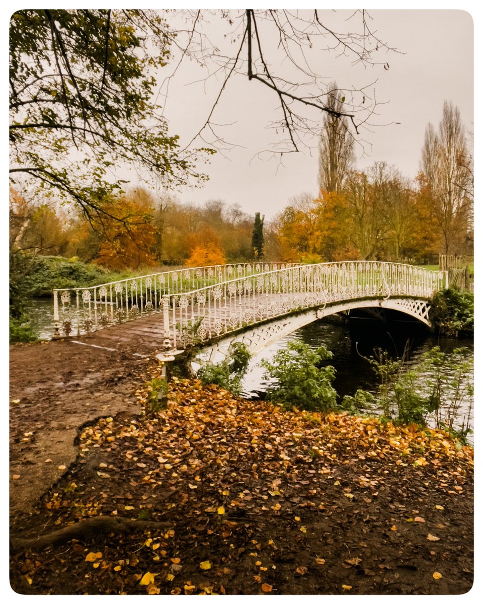 london_wombling's tweet photo. Autumn vibes…
⛅️📷☺️
📍Morden Hall Park
📷 iPhone 12
🗓️ Dec 2023
#timeoutlondon #picoftheday #travelblogger #travelphotography #lovewimbledon #ap_magazine #mordenhallpark #nationaltrust #merton #bridge #morden https://t.co/nsRsc43lOM