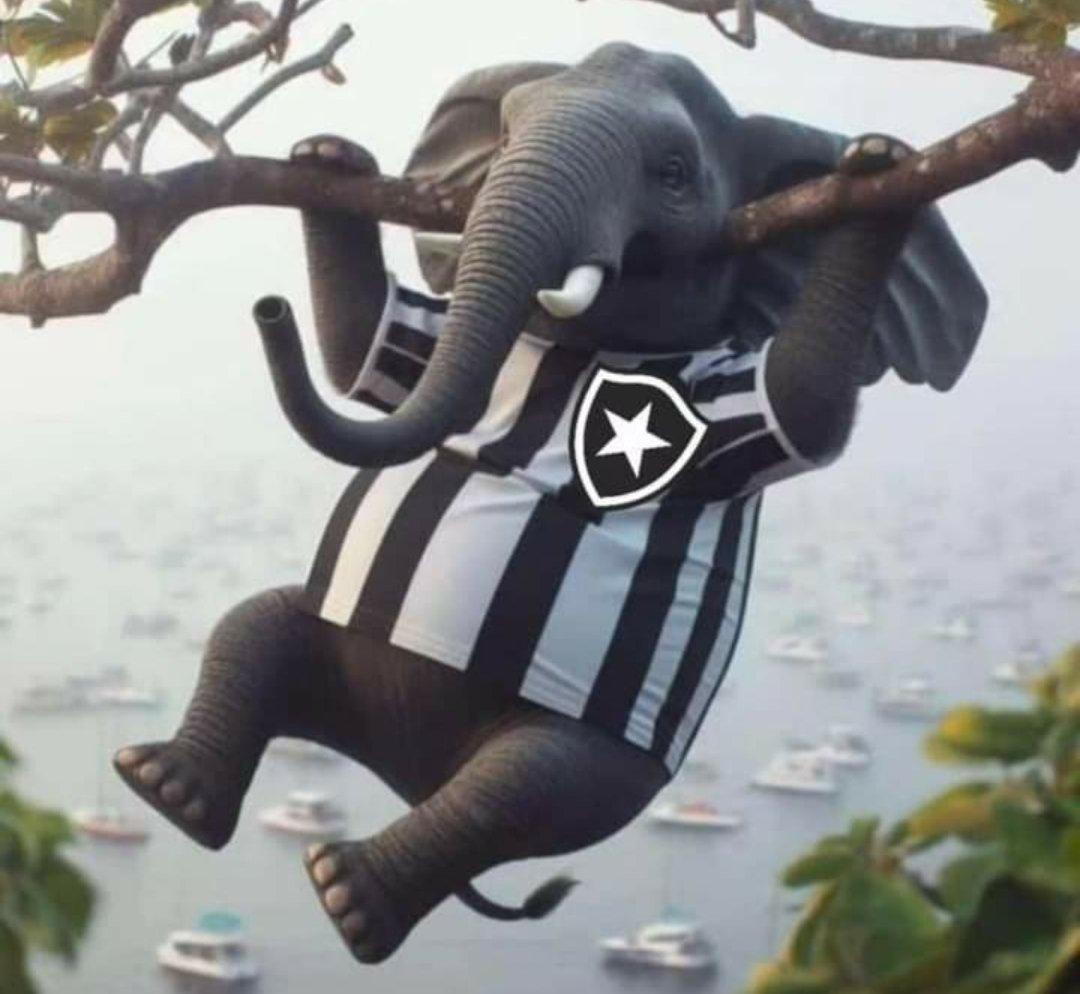 MonkProfit's tweet photo. CAIU DA ÁRVORE https://t.co/zEitKBWRf2