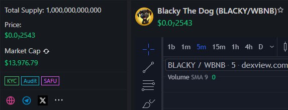 Dear All,

Socials are updated on Dexview.

Launch is set for today 15 UTC 

Initial MCAP will be 14K $, Let's MOON This hold your bags. BSC trending comes first.🔥🔥🔥

#bnb #BSC #memecoin #1000xgem #NFTs #BLACKY