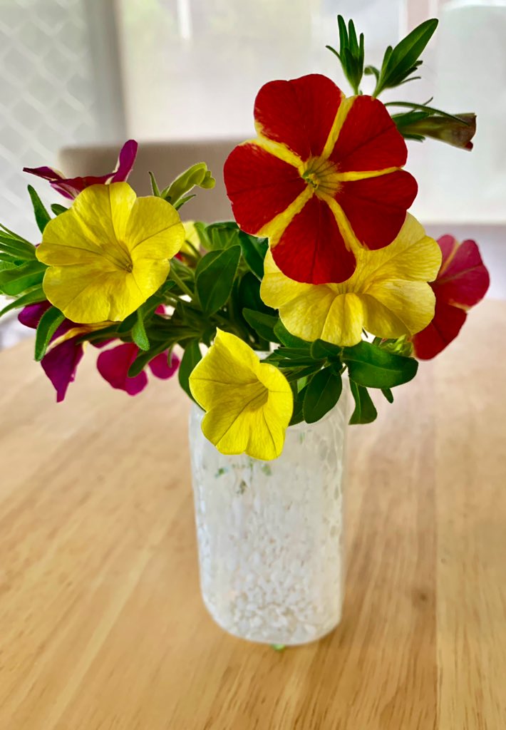 MadameVache's tweet photo. Good morning. Another small vase of flowers. #TinyVases #Flowers https://t.co/S8cdj0a4oK