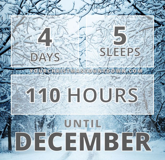 Your Christmas Countdown tweet media