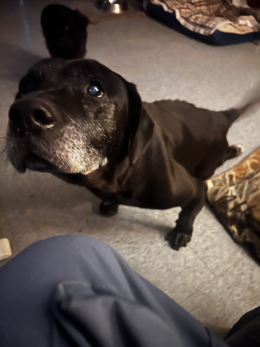 Randy Grim tweet media