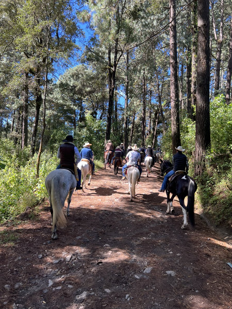 BereMarinb's tweet photo. Muchas gracias a mis amig@s de #ACaballo de la hermosa comunidad de #LosSaucos por la invitación a la tradicional #cabalgata en honor al Santo Patrono #CristoRey. https://t.co/7LMP1hj0S1