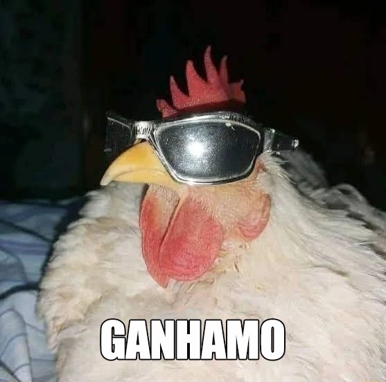 3X0 E MAIS 3 PONTOS, O GALO É DOIDO DEMAIS!!!!! 🐔🤯