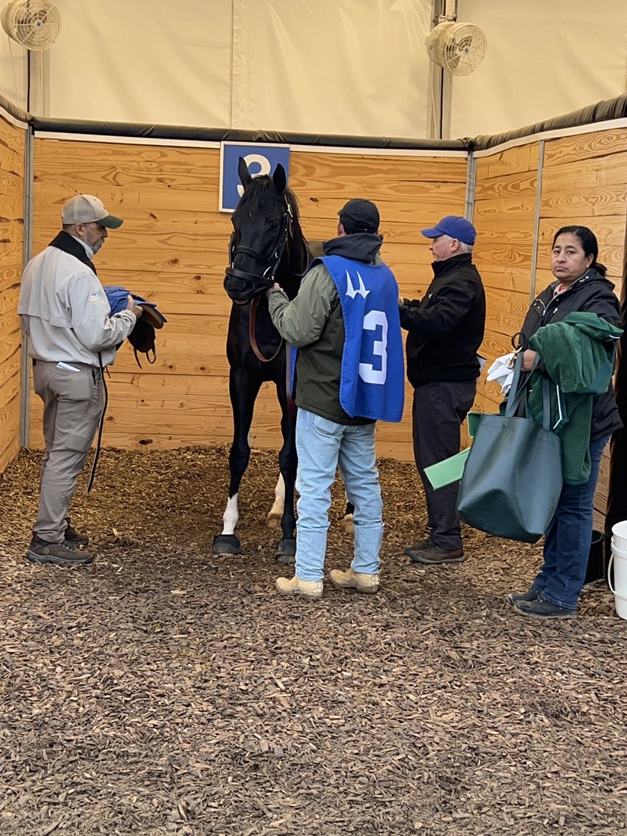 Congratulations to longtime Rusty Arnold assistant Jack Bohannan who just saddled his last horse before heading off to retirement. 

Jack has been in the industry for more than 40 years as a trainer and assistant. Enjoy the Florida sunshine.