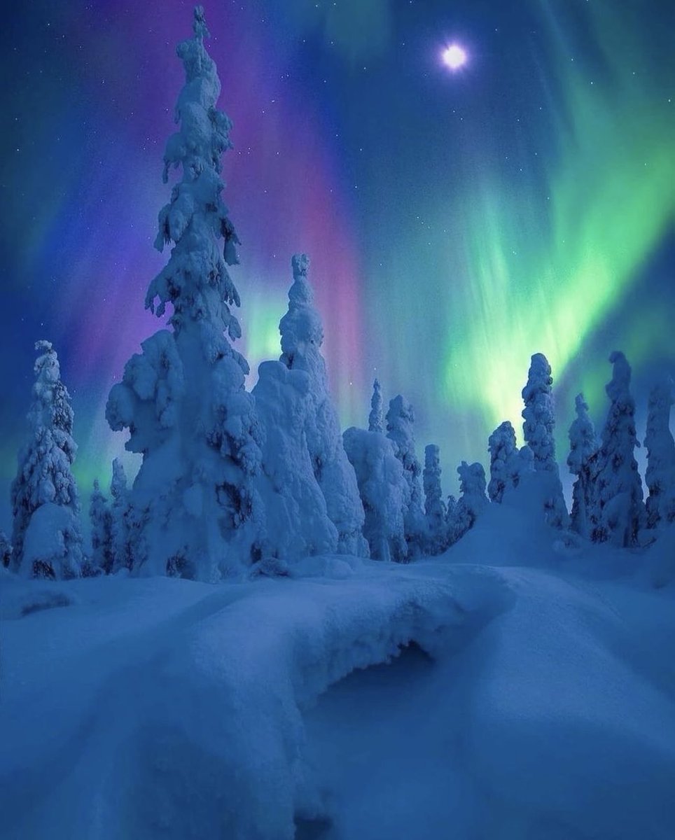 The heavens declare the glory of God!