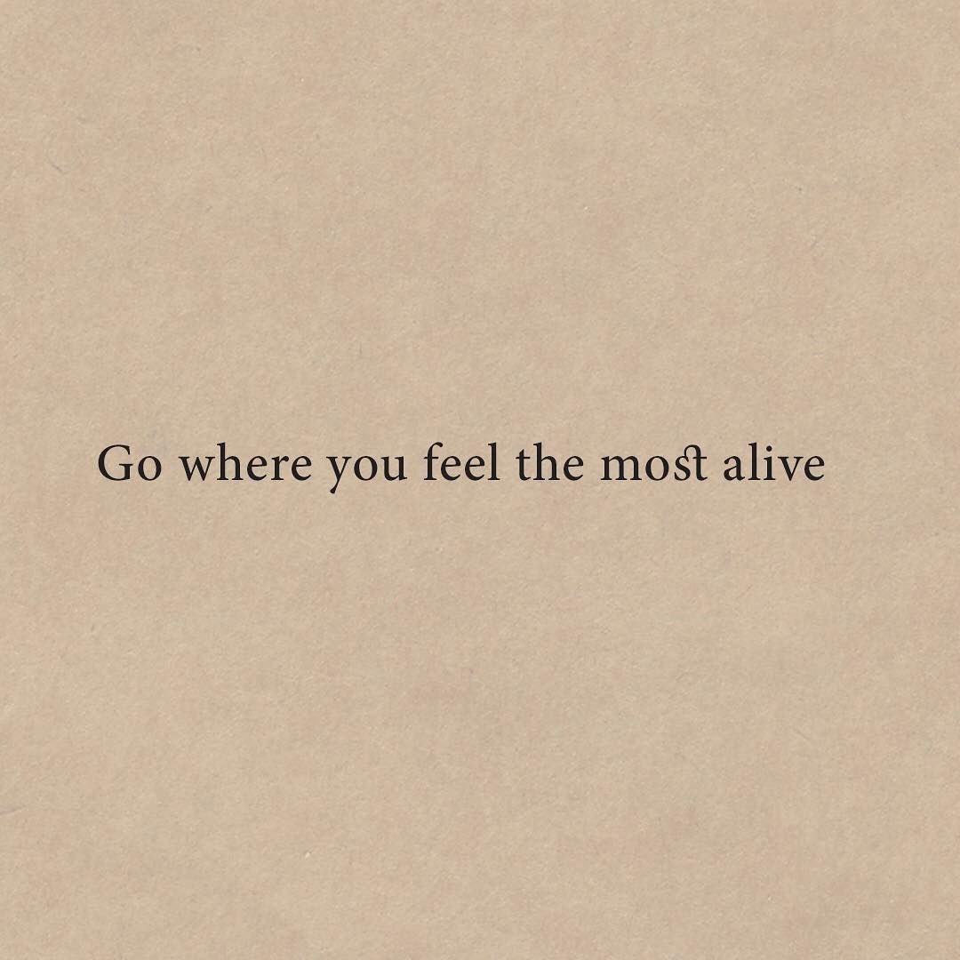 mari🤍 tweet media