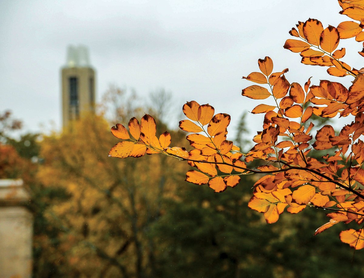 Autumn is in full swing at #KU! 🧡 Share your favorite fall spot on campus in the comments below. #RockChalk #Jayhawk #KUAlumni