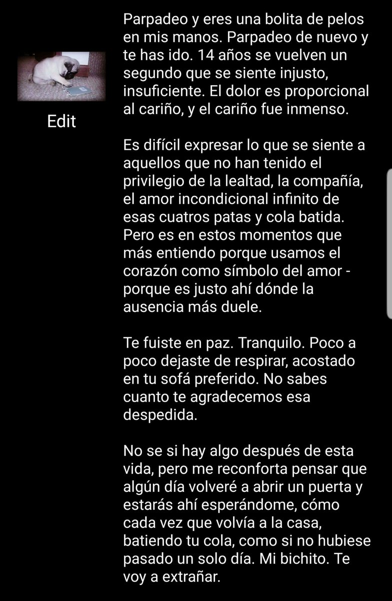 Monica Wills-Silva tweet media