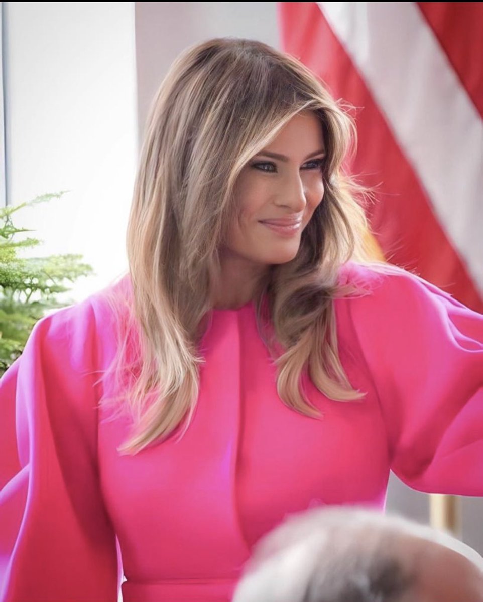Here’s to the most beautiful First Lady in American history. 

Highly educated, extremely classy, a devoted mother and a fashion icon. 

#Melania