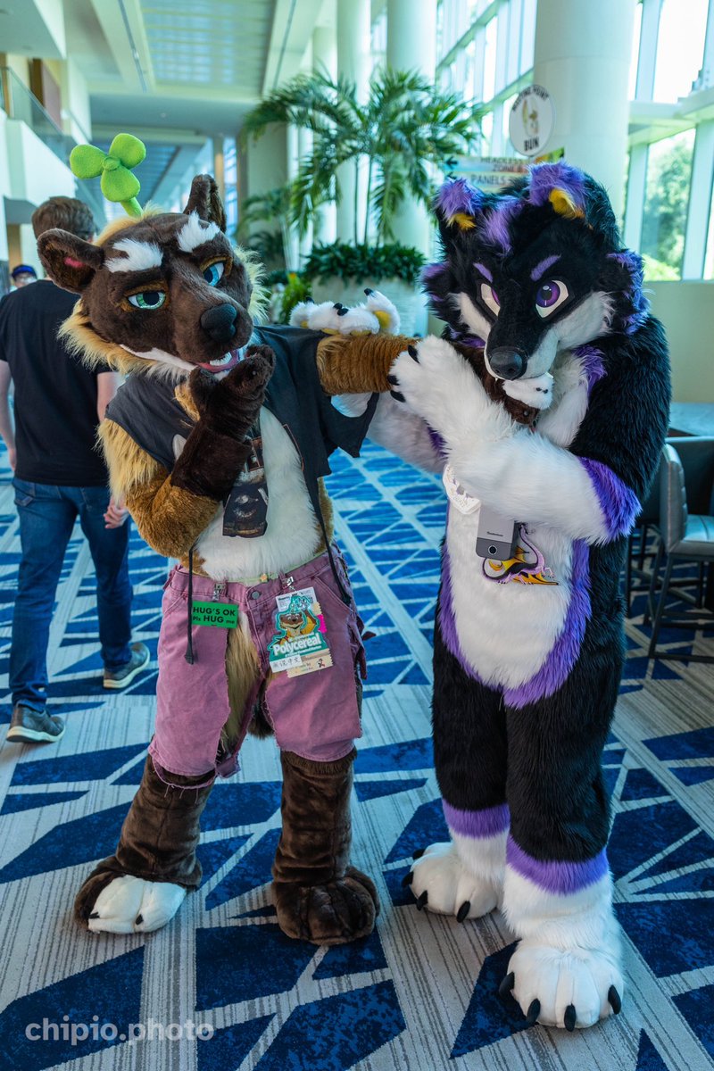 Polycereal 杂粮 tweet media