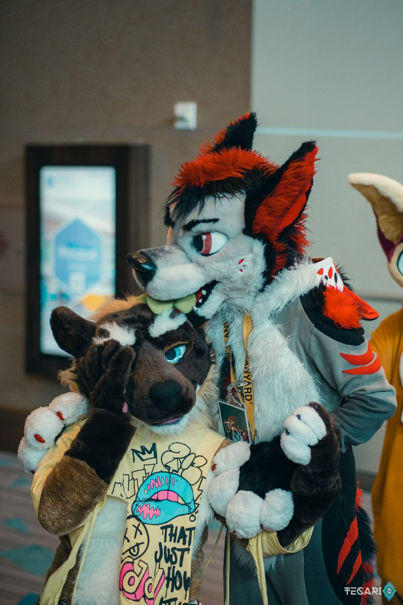 Polycereal 杂粮 tweet media