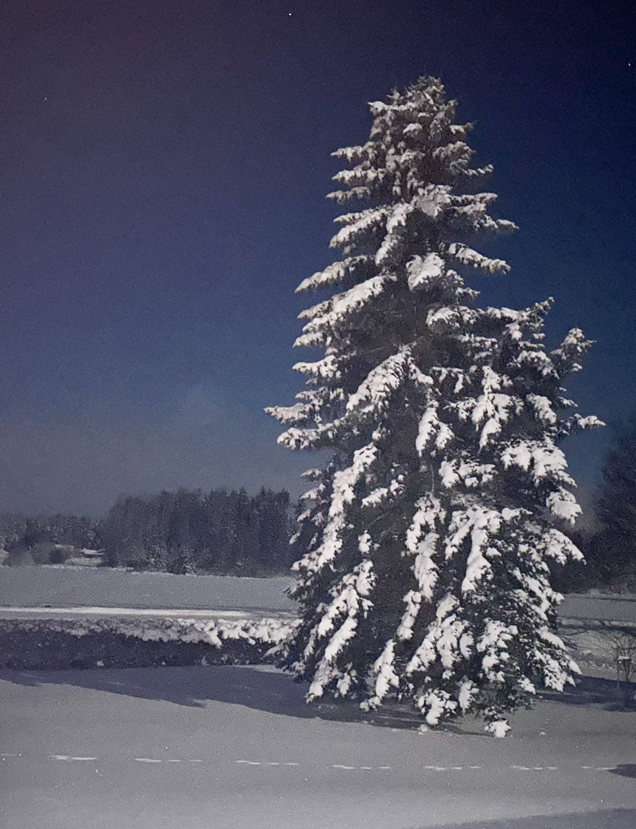 PEForsstrom's tweet photo. ”Midvinternatt”redan i november. https://t.co/xCvYZvZRTi