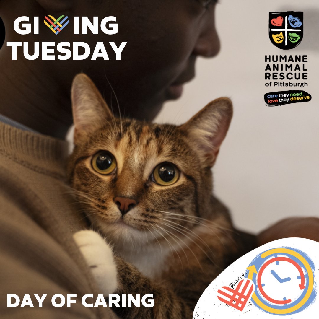 This Giving Tuesday, join us for A Day of Caring on November 28. Get an inside look at our mission as we share stories from our shelters, Wildlife Rehabilitation Center, &amp; veterinary medical centers, revealing the lesser-known aspects of caring for shelter animals. Stay tuned!