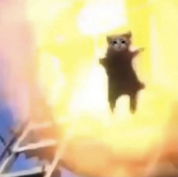 ᅠ 𝖙𝚑𝚎 ᅠ ᅠꉂ ᅠ 𝕭𝙾͟𝚂͟𝚂 . ᅠ ᅠ (@zverybeast) on Twitter photo 