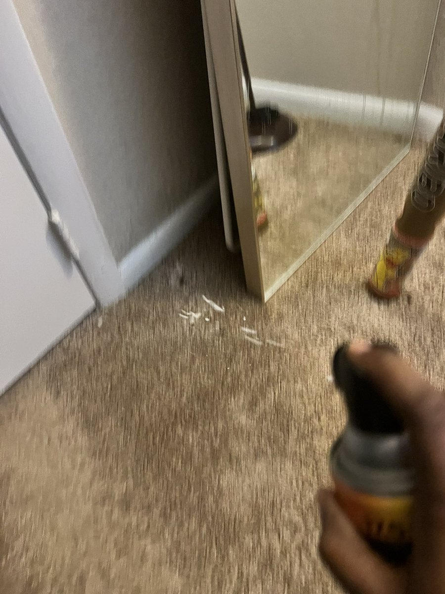 Tiffany _ LMA_Littles tweet media