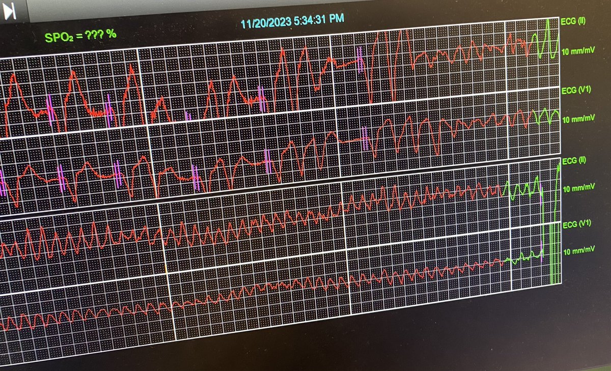 Umair Khalid tweet media