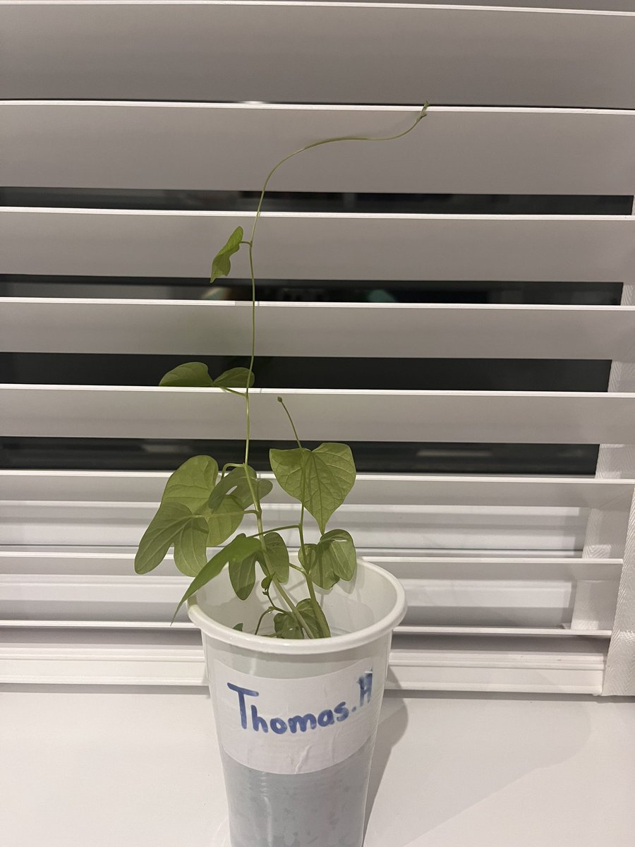 Sarah Hellens tweet media