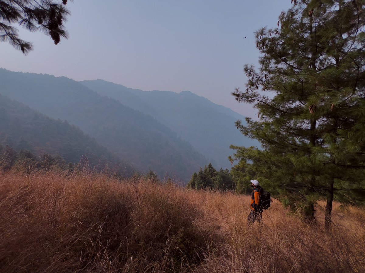 jkmaclub's tweet photo. JKMAC Sunday Trek to Shikargah in Tral town of Pulwama district.
#jkmac #jkmacsundaytreks #Trekking #hiking #adventure
https://t.co/IvDvtHo5Aw https://t.co/iOPECDScv8