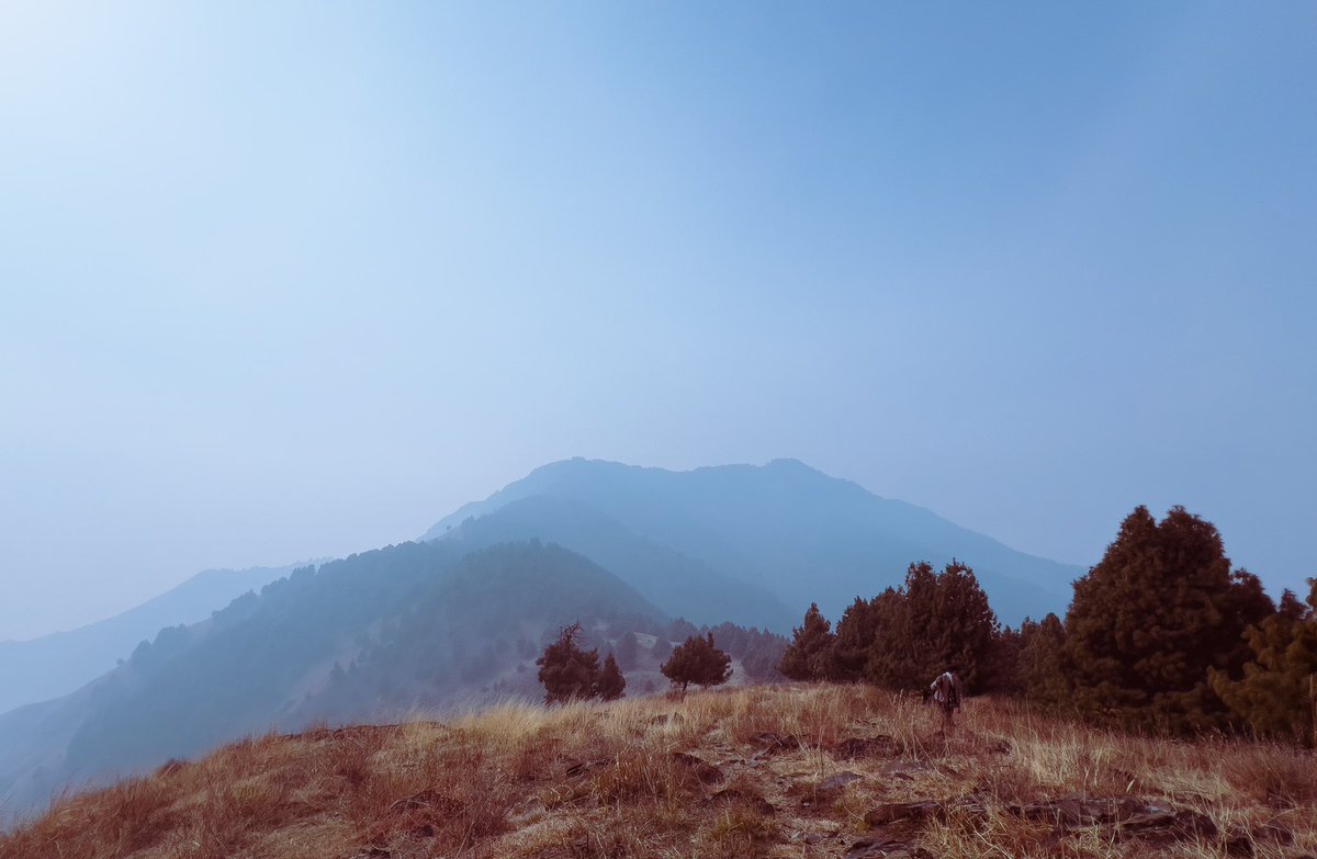 jkmaclub's tweet photo. JKMAC Sunday Trek to Shikargah in Tral town of Pulwama district.
#jkmac #jkmacsundaytreks #Trekking #hiking #adventure
https://t.co/IvDvtHo5Aw https://t.co/iOPECDScv8