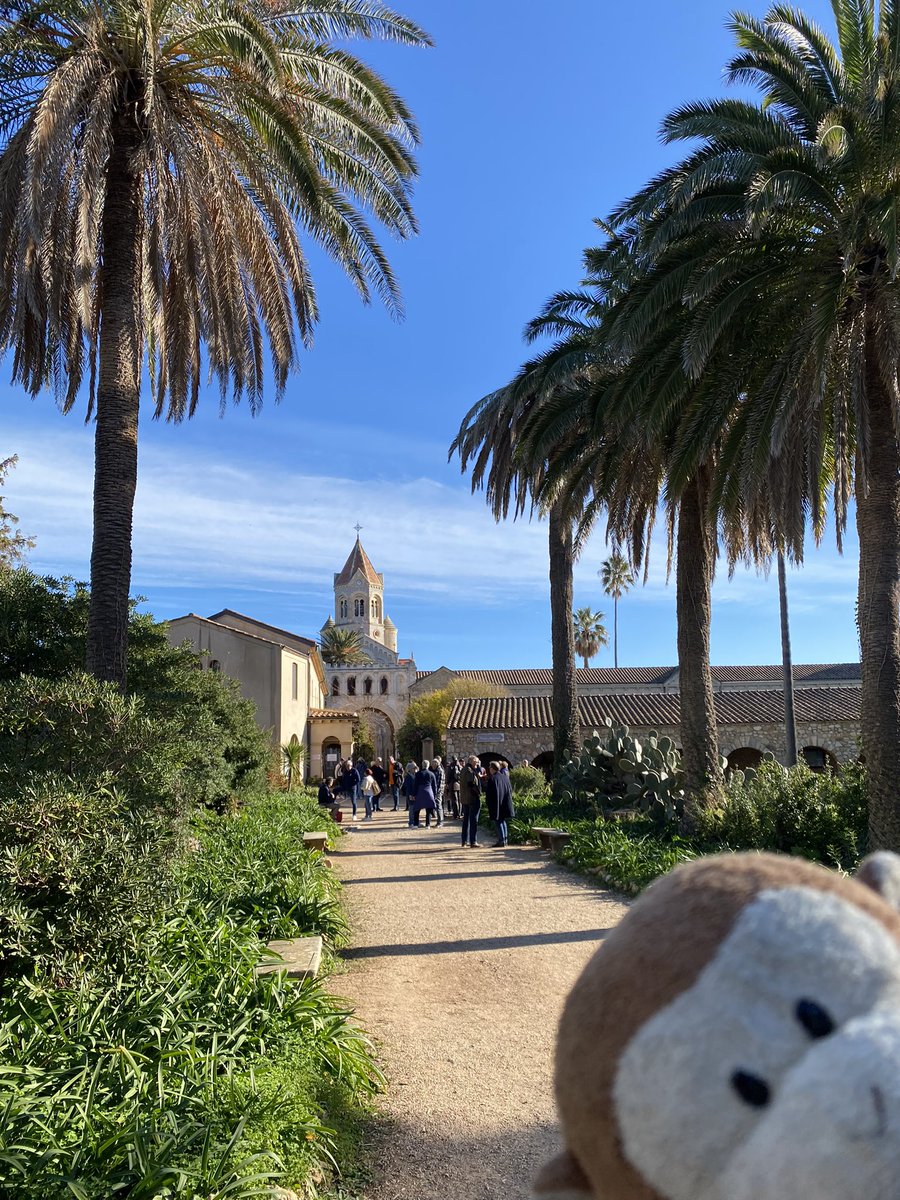 GpSmnky's tweet photo. Took a ferry out to île saint-honorat off the coast of #Cannes saw the vineyards and the monastery.  Then back Cannes for some drinks by the beach on the #FrenchRiviera https://t.co/9lqNf2Hhvj