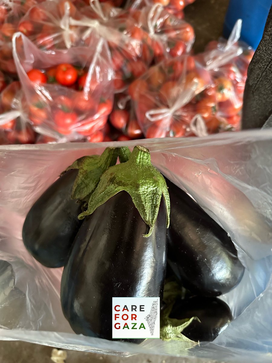 Team at CareForGaza had been busy buying and allocating fresh vegetables for the families in Gaza. Thanks for your support.