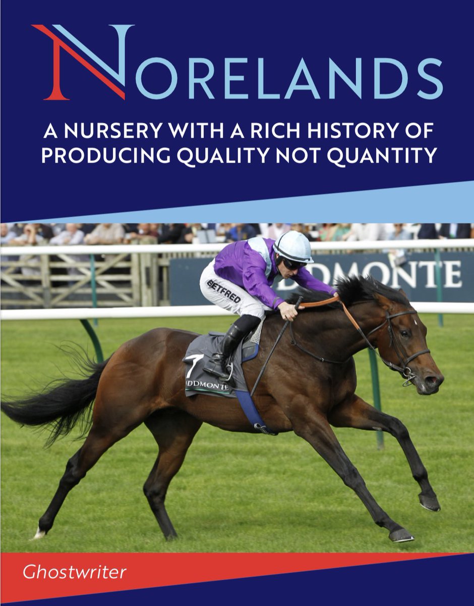 Don’t miss our quality draft selling next week @Tattersalls1766 Foal Sale. Recent high class graduates from our draft include Magna Grecia, Blackbeard and the exciting, Ghostwriter. Come and see us in the Right Yard tattersalls.com/sales/december…