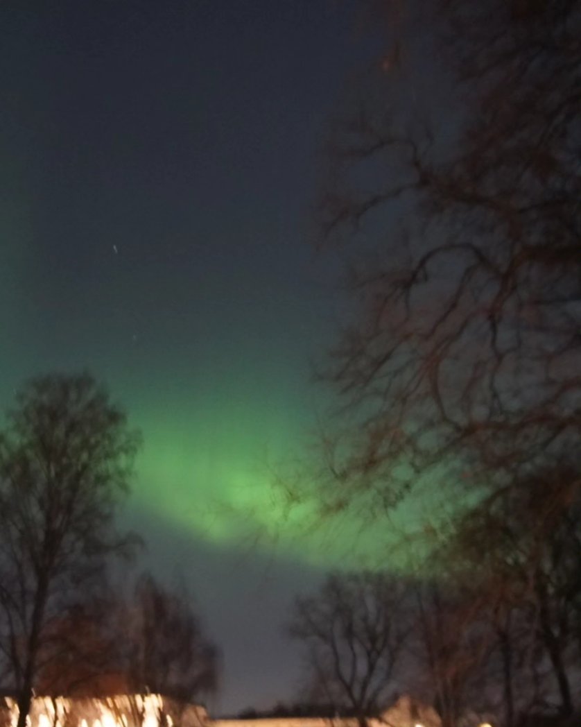 MMateos92's tweet photo. Nothern lights 💚😁
Regalo de la última noche en Oslo 🇳🇴😊
#Erasmus + https://t.co/AIpSyJanw7