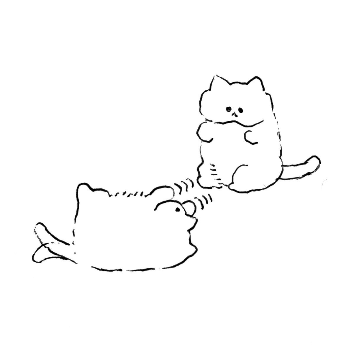 ねこ 