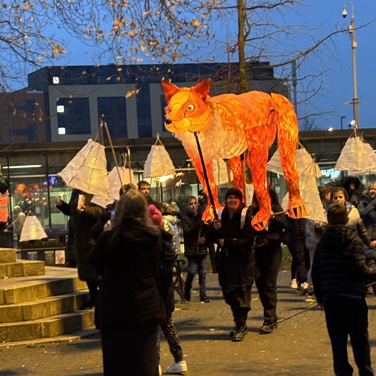 rfantauzzo's tweet photo. Bury Lantern Parade 
 🏮 https://t.co/Gd0lycAcqK