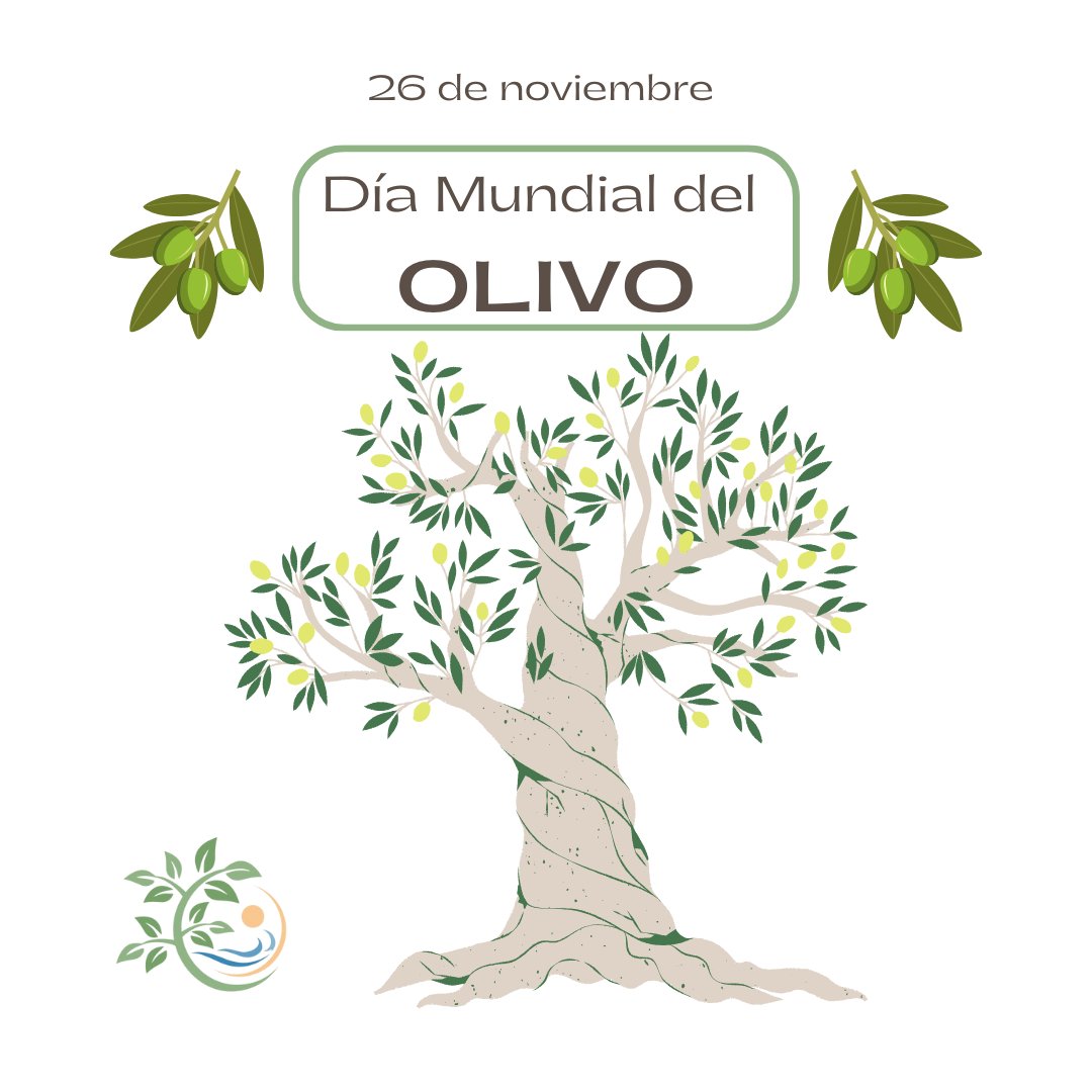 26 DE NOVIEMBRE - DÍA MUNDIAL DEL OLIVO 🌳🫒

Desde #PEJCONA, y en colaboración con <a href="/adoptaunolivo/">Apadrinaunolivo.org</a> , queremos mostrar la importancia de los olivares y las buenas prácticas sostenibles que acompañan el cuidado, la conservación y la recuperación de aquellos abandonados

🧵(1/3)
