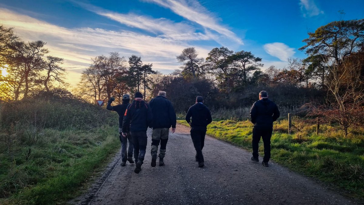 Yesterday we stabbed the Royal Artillery Hunt on Salisbury Plain. Usual aggression from Carter, the huntsman, and the whipper-in who have severe anger issues, probably caused by their embarrassing lack of hound control. They packed with plenty of daylight left. Successful day.