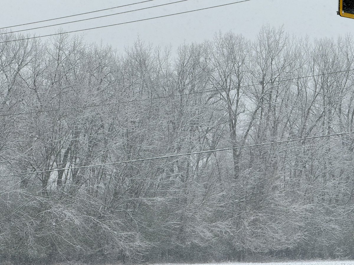 asifrehmani's tweet image. And it begins… #ChicagoIL