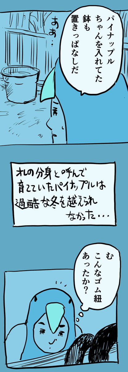 糸島STORY107  「導かれる彼ら」5/5  #糸島STORYまとめ