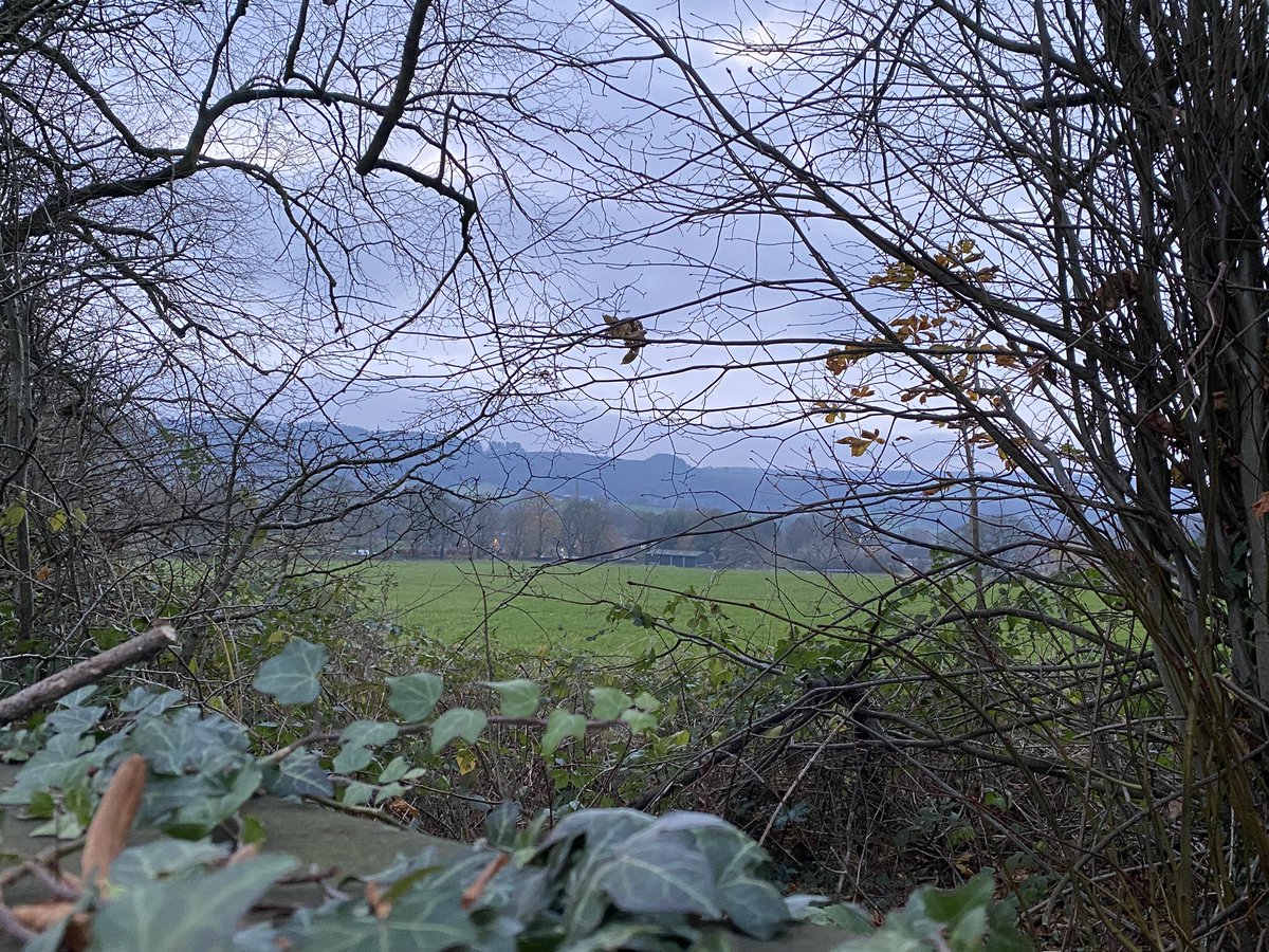 seaparkin's tweet photo. A little show today at Ashover. It felt very Christmassy. #ashover #derbyshire #landscape #watercolour https://t.co/MQUnReh2nT