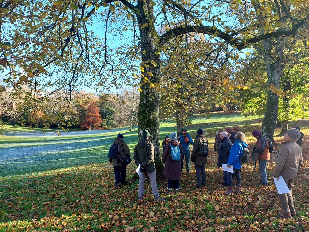 Great day lichening yesterday with @DevonWildlife as part of their Saving Devon's Treescapes project #savedevonstrees